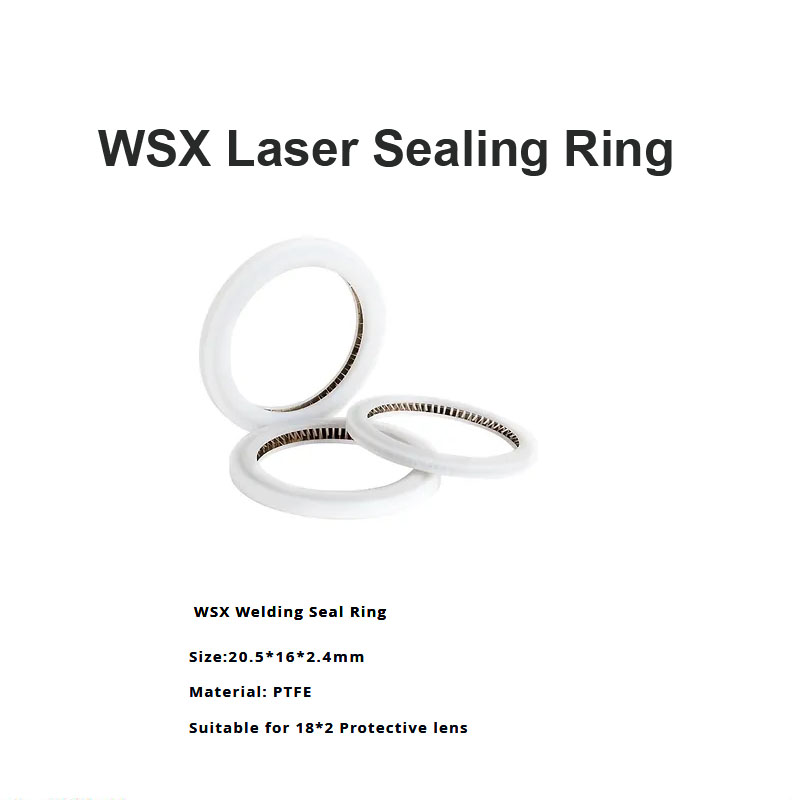 Anel de vedação a laser WSX D20.5
