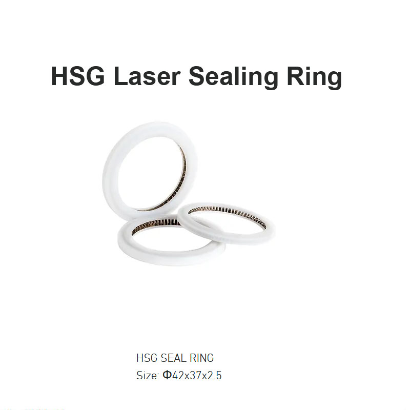 Anel de vedação a laser HSG D42